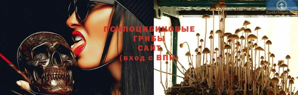 мяу мяу мука Козельск