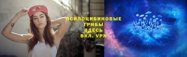 бутират Козловка