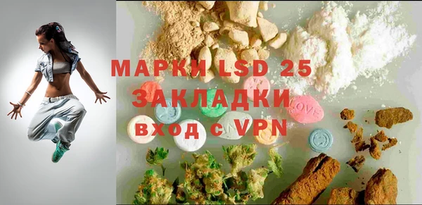ГАЛЛЮЦИНОГЕННЫЕ ГРИБЫ Кодинск