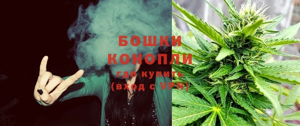 бутират Козловка