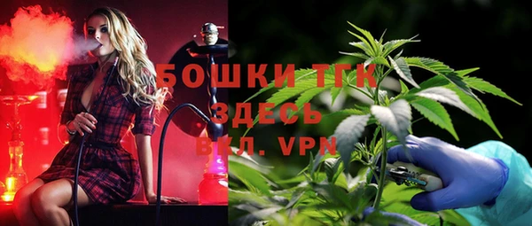 ГАЛЛЮЦИНОГЕННЫЕ ГРИБЫ Кодинск