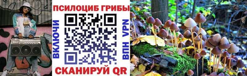 Купить где  Южноуральск  Галлюциногенные грибы Magic Shrooms 